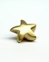 Brass Star Keepsake Urn